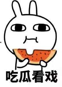 娱乐吃瓜酱什么都能记住,记忆力惊人，无所不知的娱乐圈百科全书